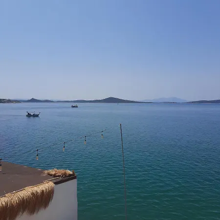 Casalyma * Ayvalı